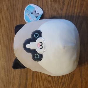 Squishmallow NANCY the RAG DOLL Cat 8”